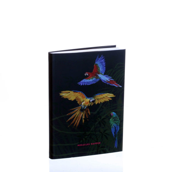 piezīmju grāmata klade piezīmju bloks notebook sketch book