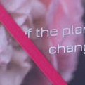 Roses Private