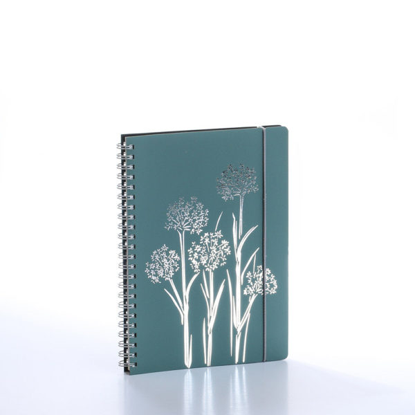 piezīmju grāmata klade ar spirāli notebook